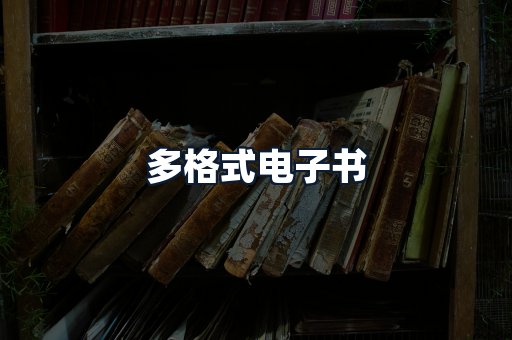 多格式电子书